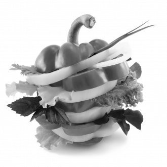 Article Single Image