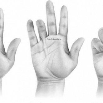 Article Single Image
